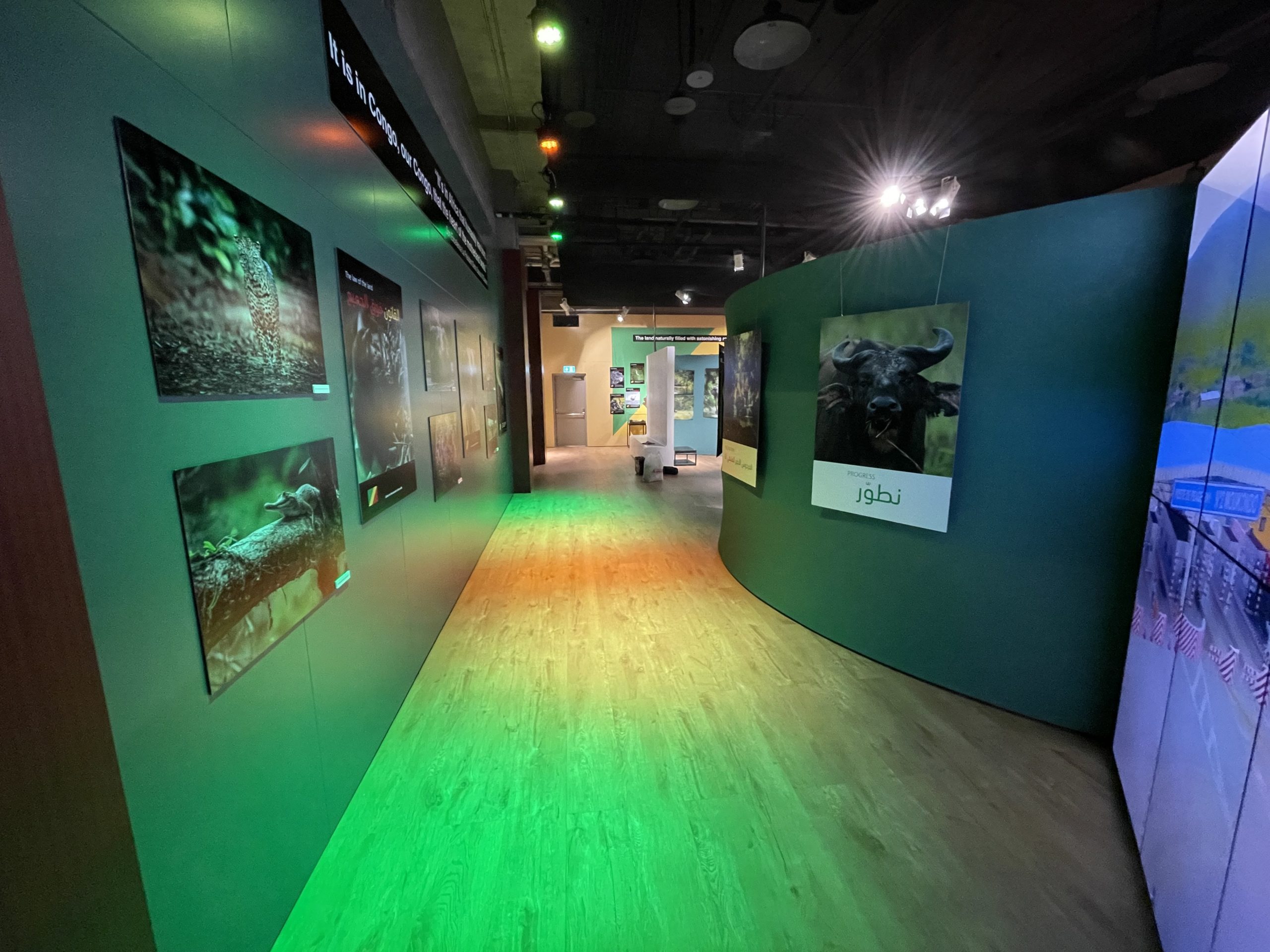 Pavillon de la République du Congo